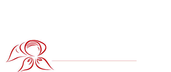 logo-vincendon