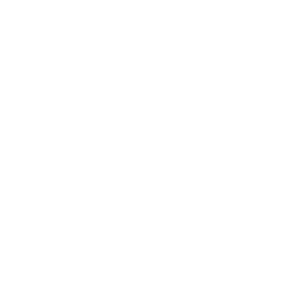 Logo_regionauvergnerhonesalpes